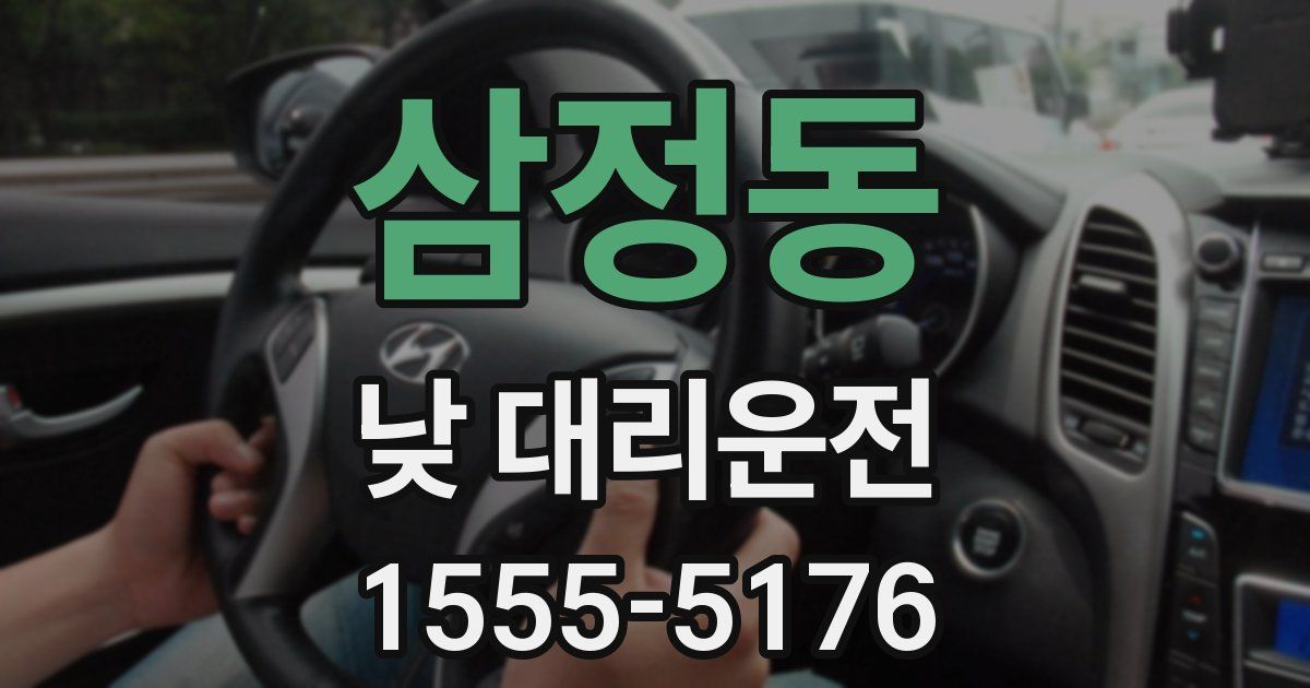 삼정동 낮 대리운전