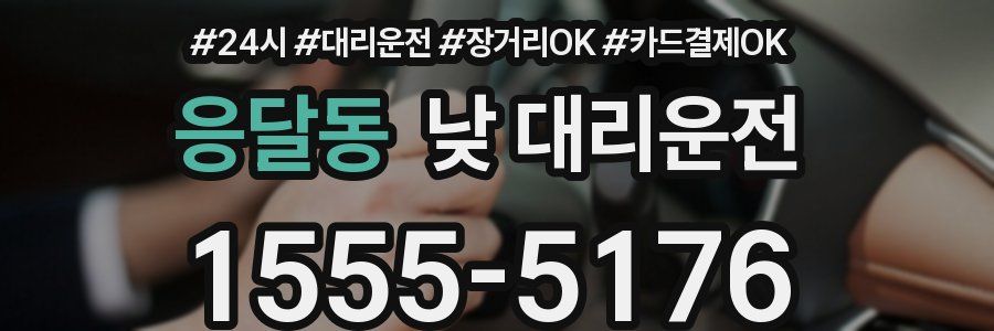응달동 낮 대리운전