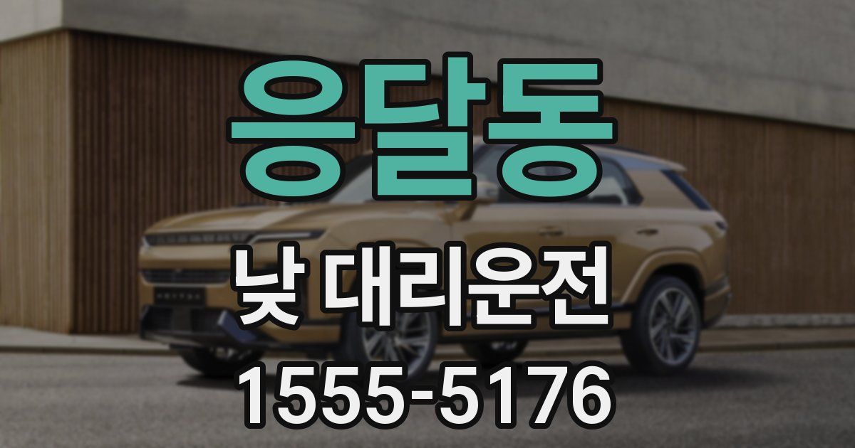 응달동 낮 대리운전