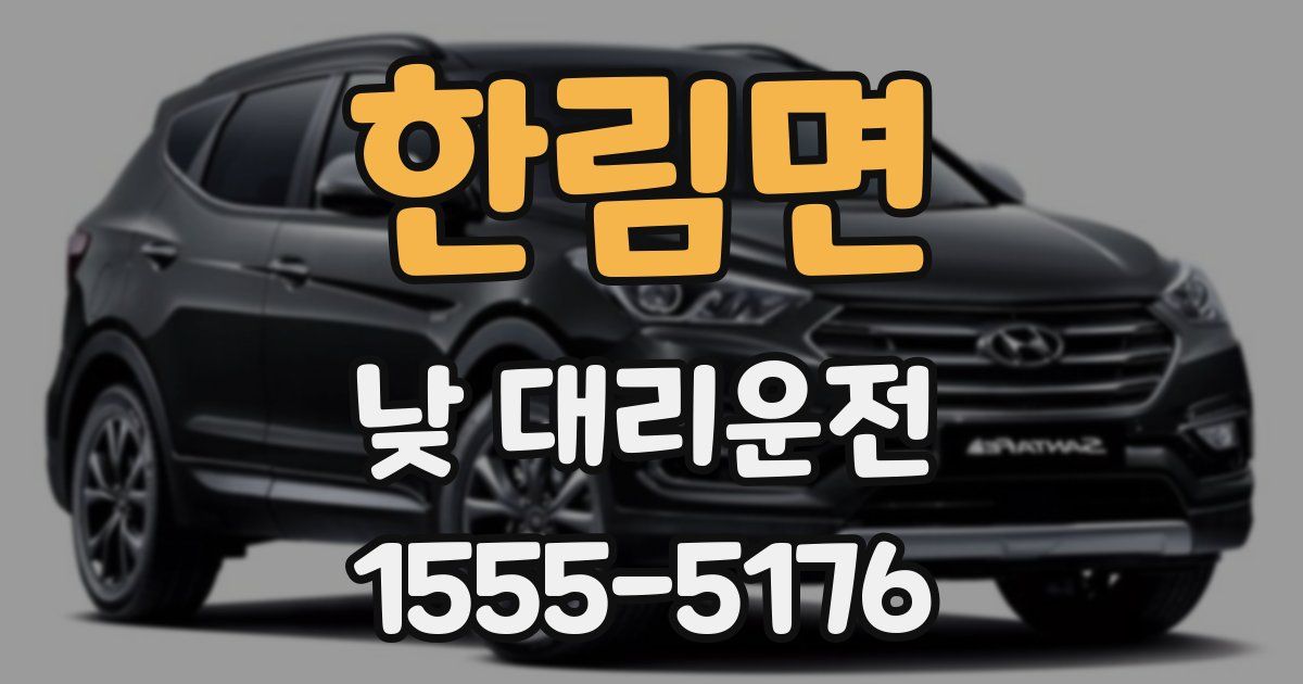 한림면 낮 대리운전