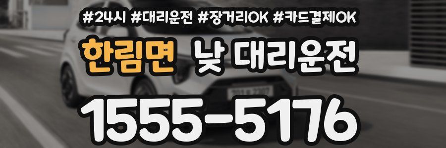 한림면 낮 대리운전
