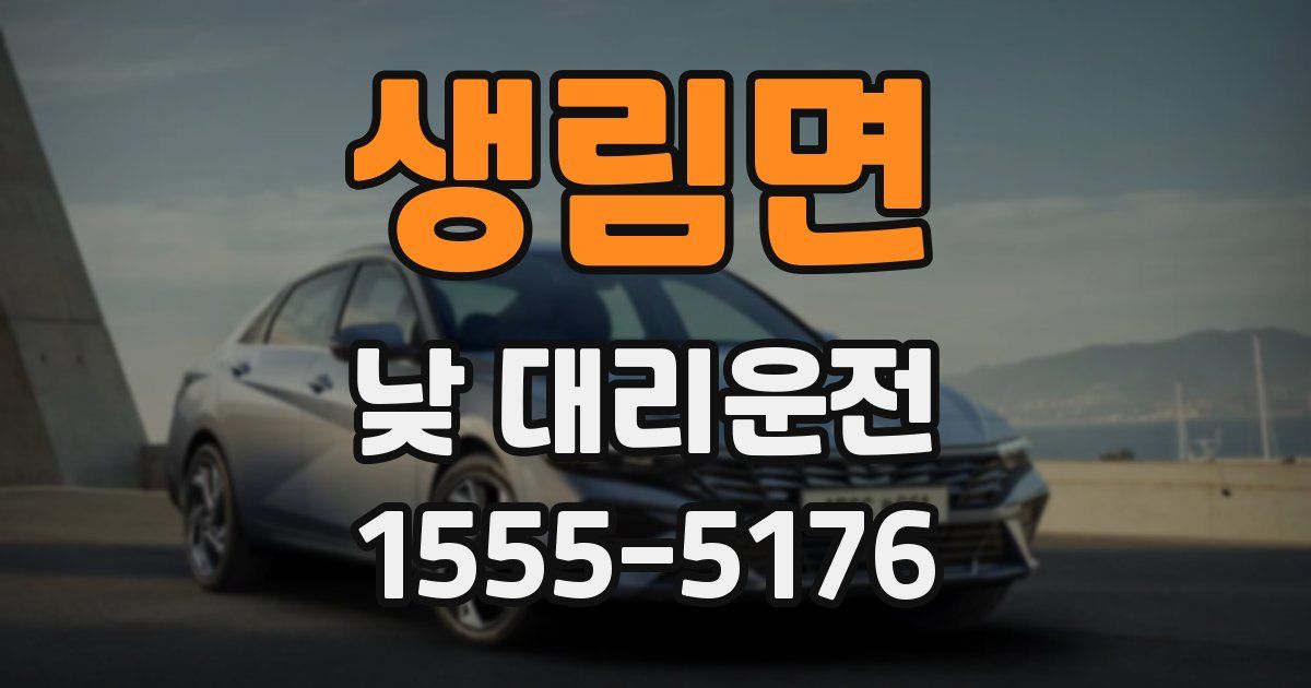 생림면 낮 대리운전