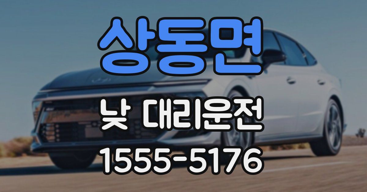 상동면 낮 대리운전