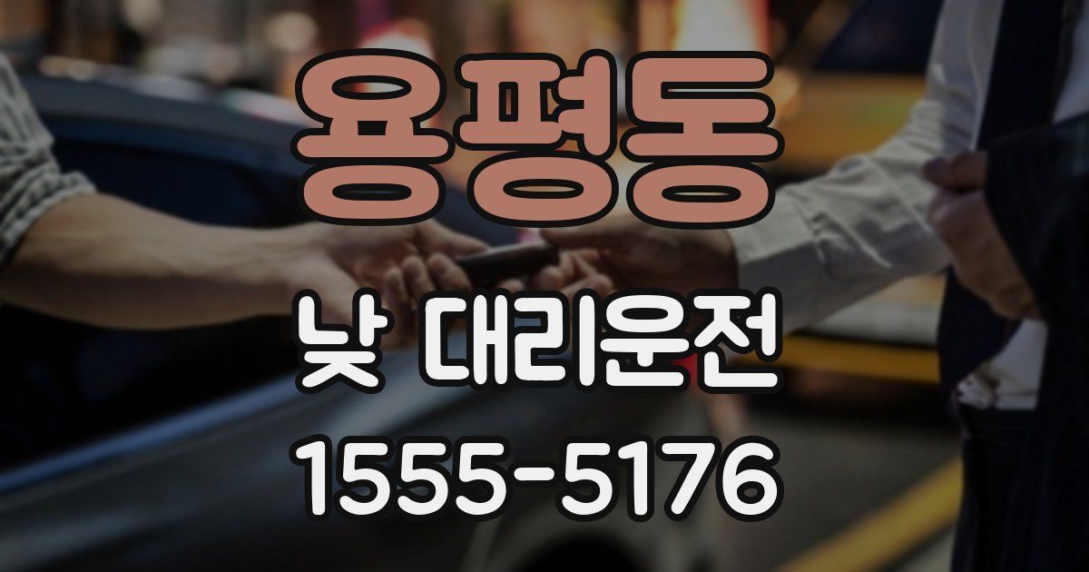 용평동 낮 대리운전