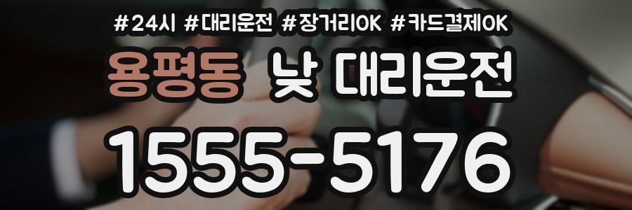 용평동 낮 대리운전