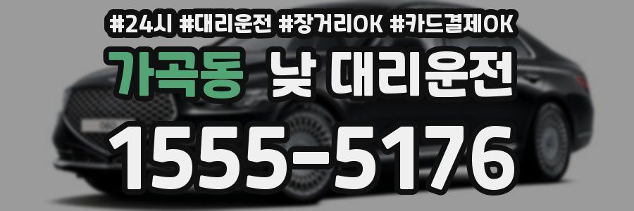 가곡동 낮 대리운전