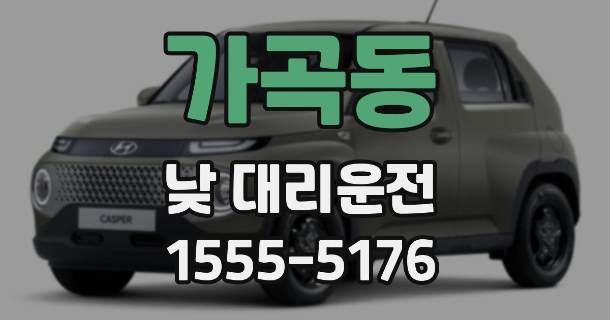 가곡동 낮 대리운전