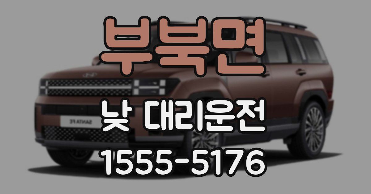 부북면 낮 대리운전
