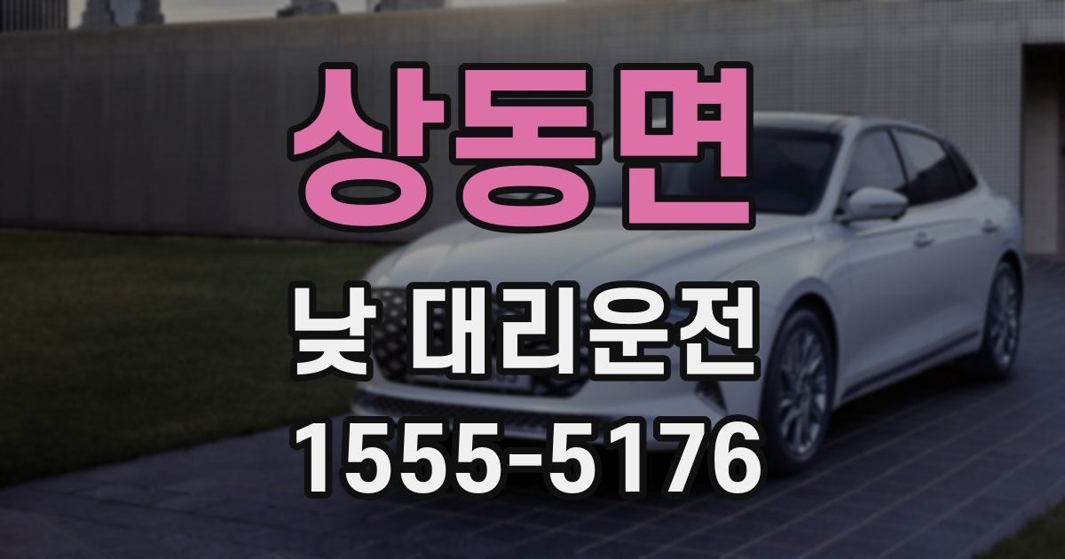 상동면 낮 대리운전