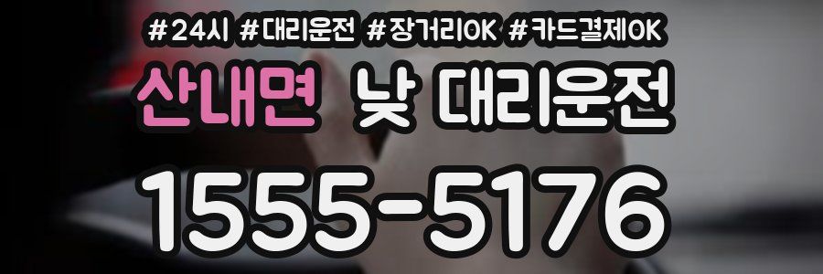 산내면 낮 대리운전