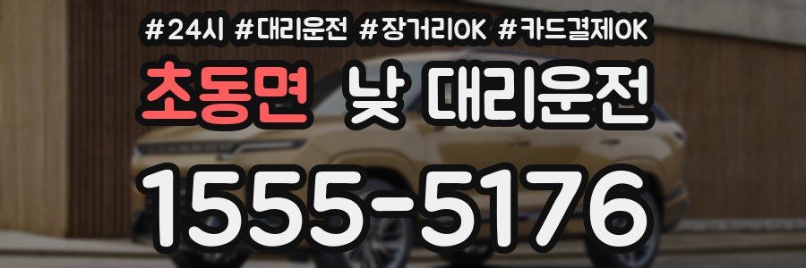 초동면 낮 대리운전
