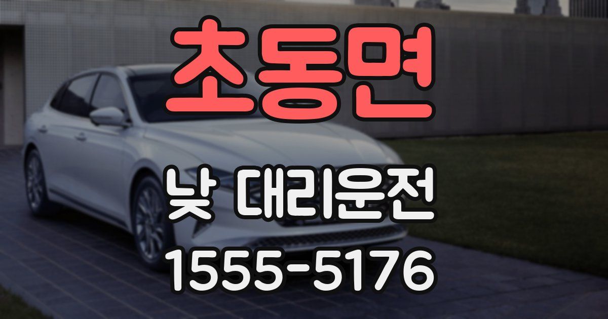초동면 낮 대리운전