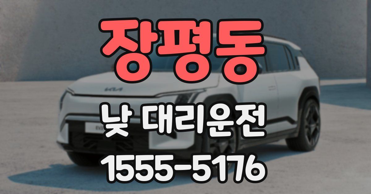 장평동 낮 대리운전