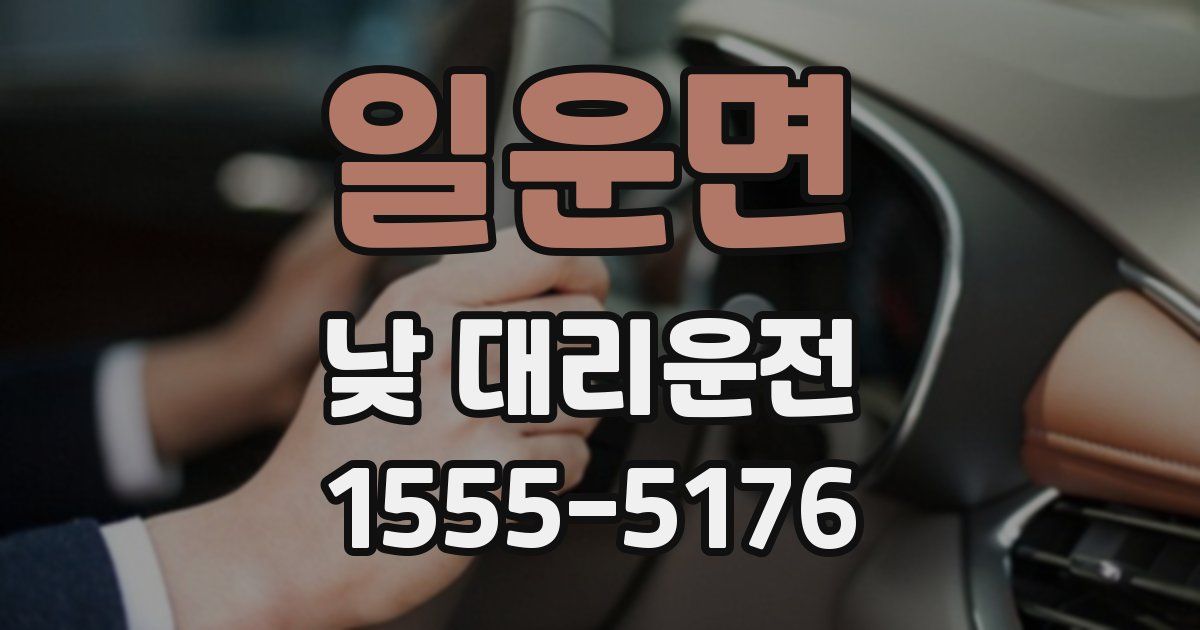 일운면 낮 대리운전
