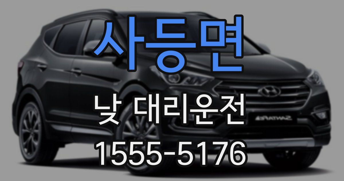 사등면 낮 대리운전