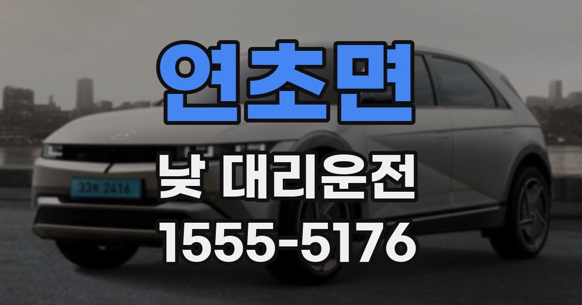 연초면 낮 대리운전