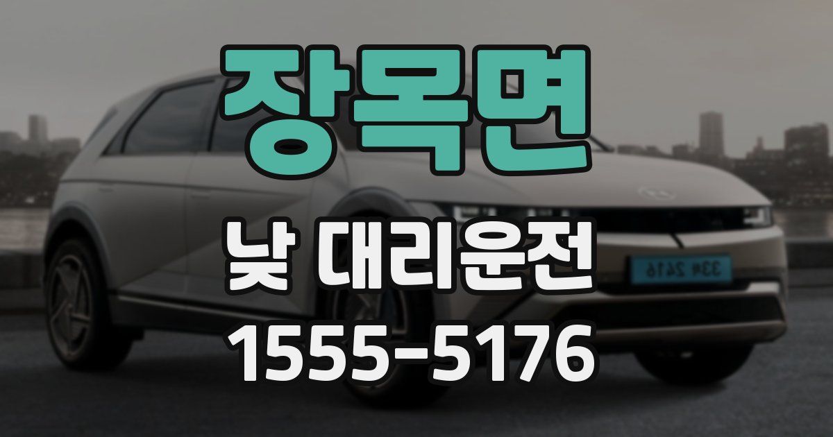 장목면 낮 대리운전