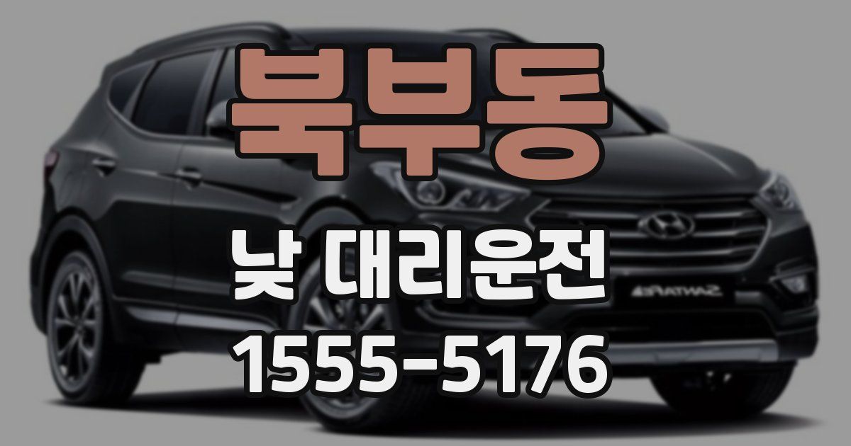 북부동 낮 대리운전