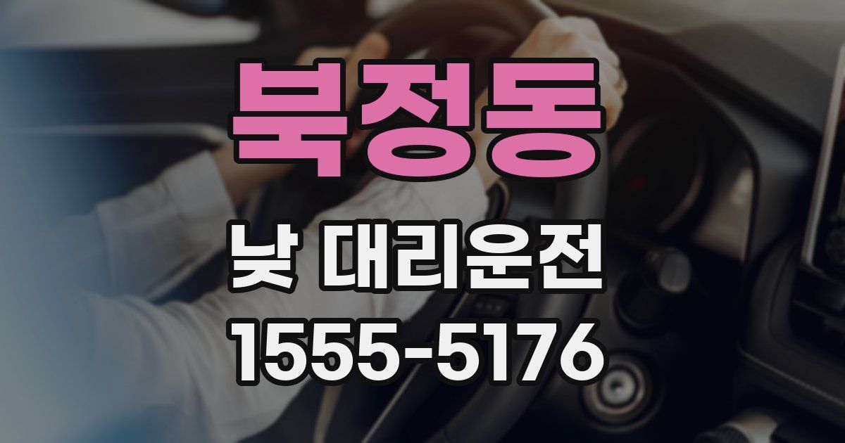북정동 낮 대리운전