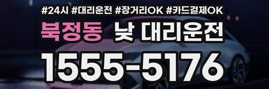 북정동 낮 대리운전