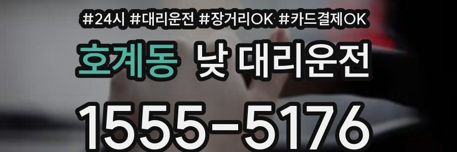 호계동 낮 대리운전