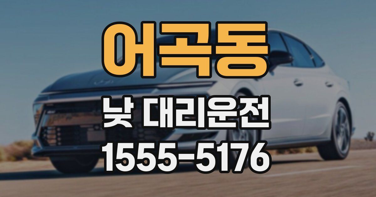 어곡동 낮 대리운전