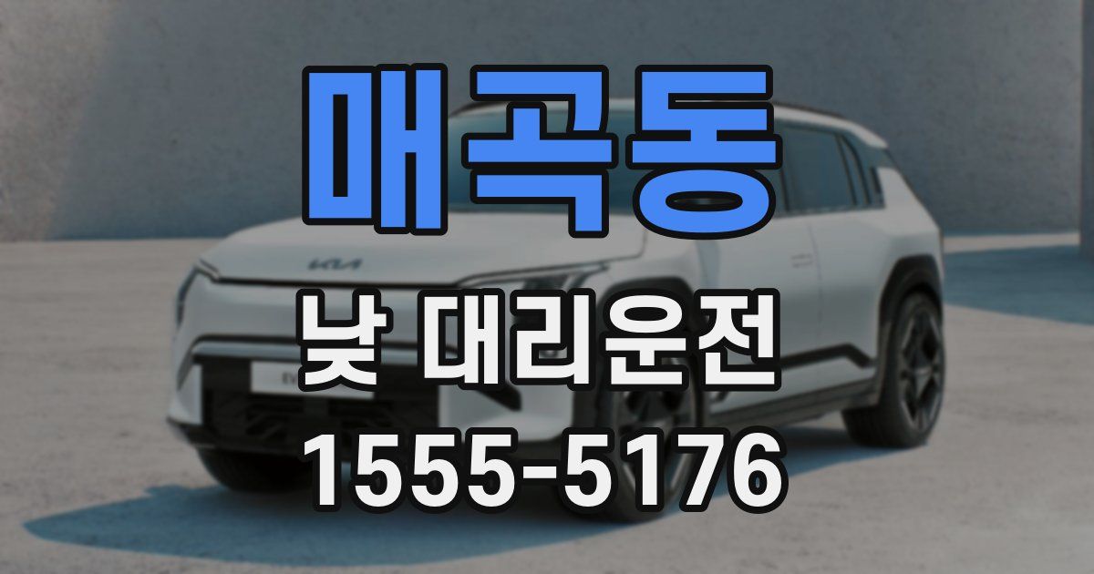매곡동 낮 대리운전