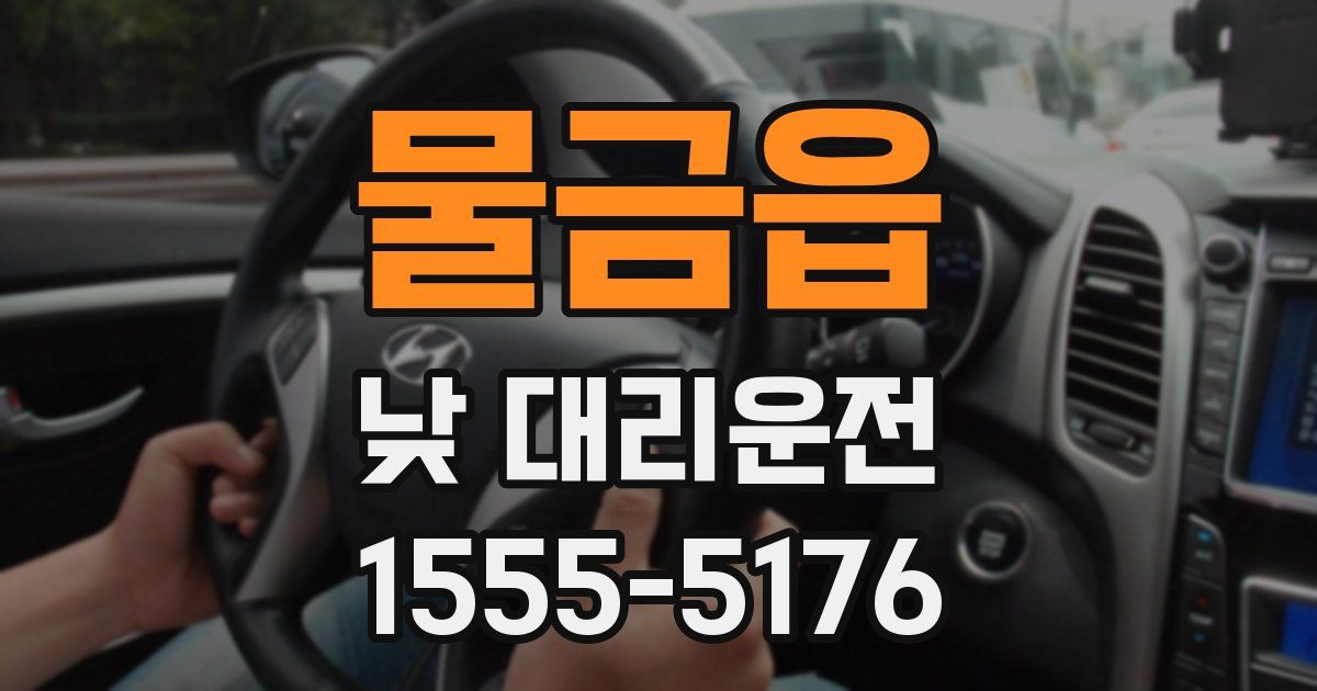 물금읍 낮 대리운전