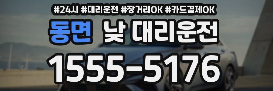 동면 낮 대리운전