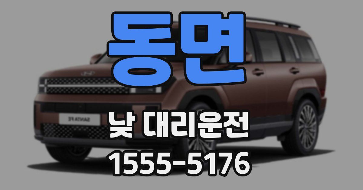 동면 낮 대리운전