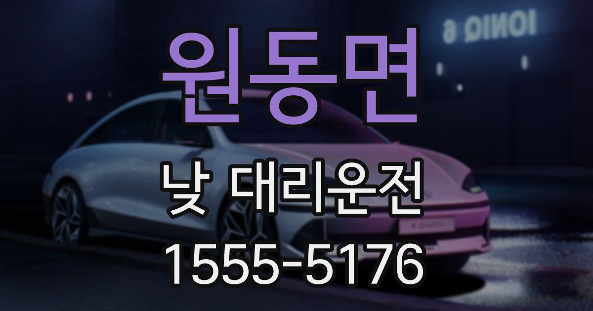 원동면 낮 대리운전