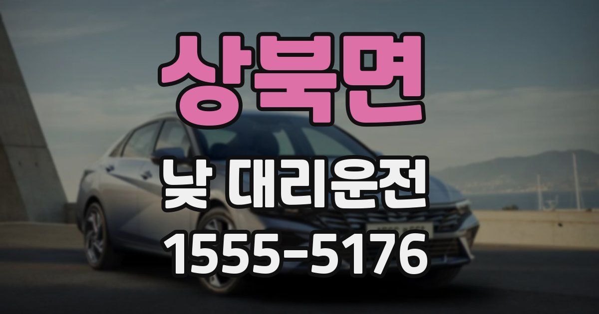 상북면 낮 대리운전