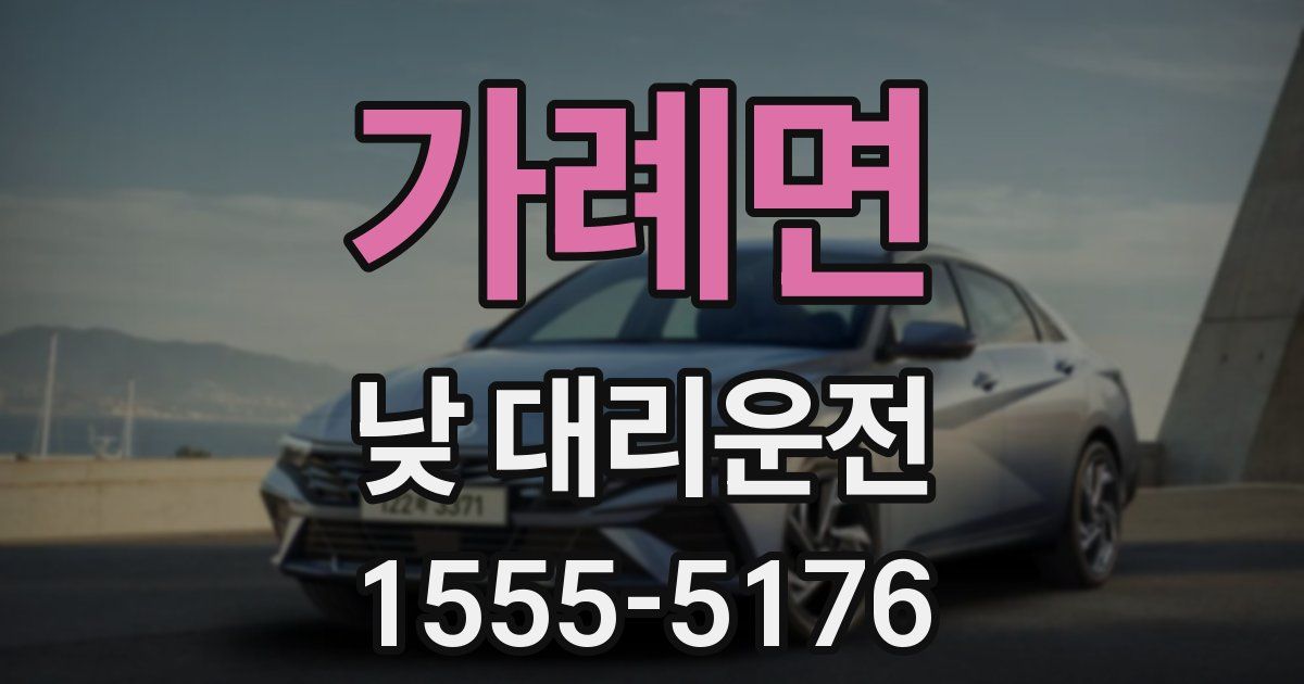 가례면 낮 대리운전