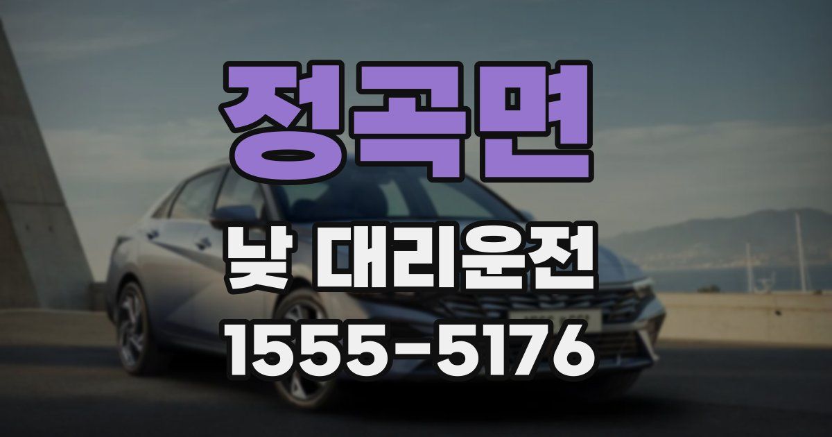 정곡면 낮 대리운전