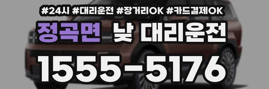 정곡면 낮 대리운전