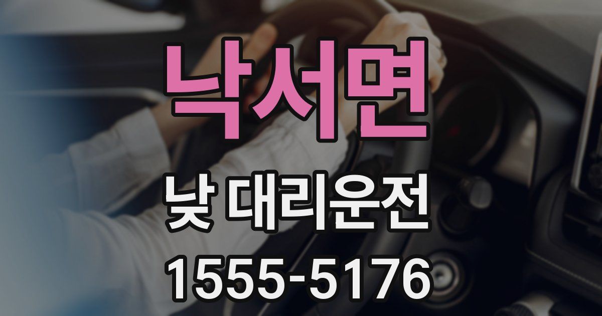 낙서면 낮 대리운전
