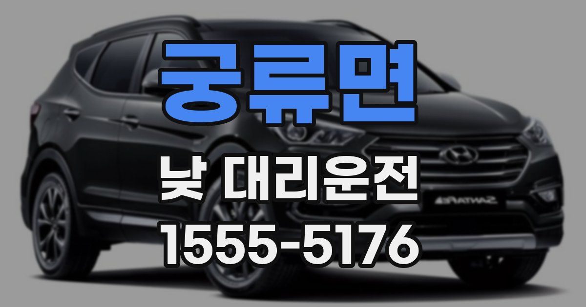 궁류면 낮 대리운전