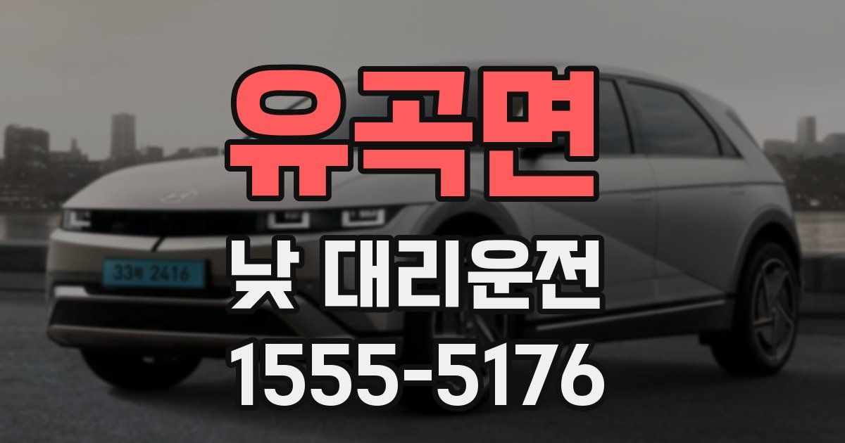 유곡면 낮 대리운전