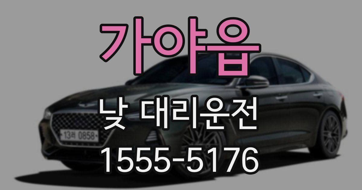 가야읍 낮 대리운전