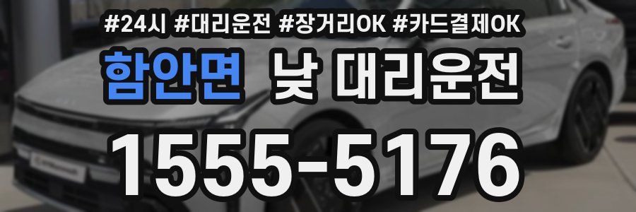 함안면 낮 대리운전