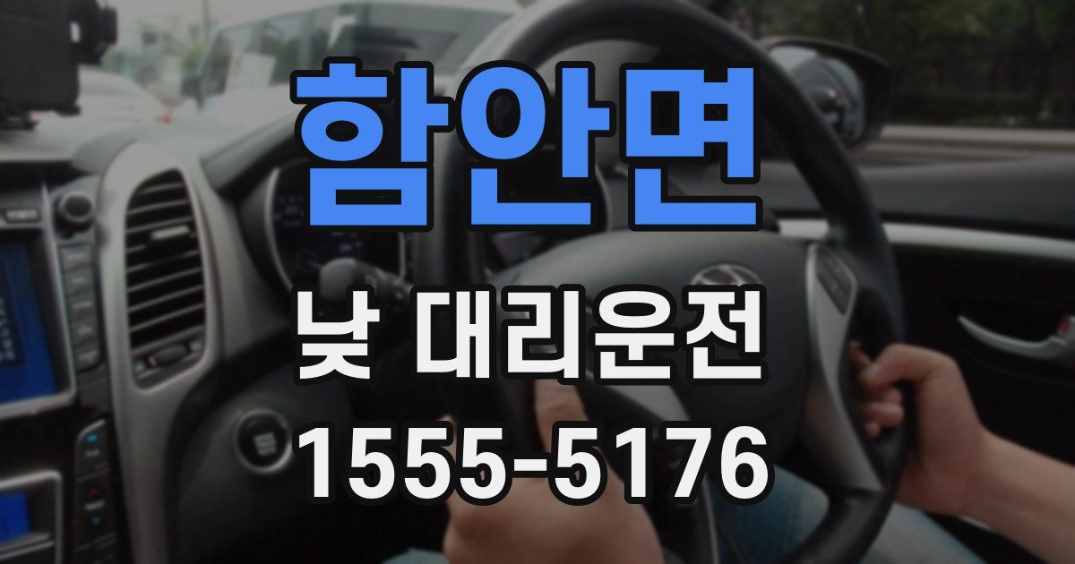 함안면 낮 대리운전