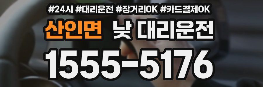 산인면 낮 대리운전