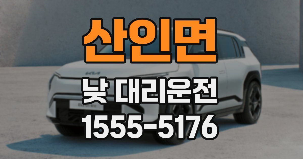 산인면 낮 대리운전