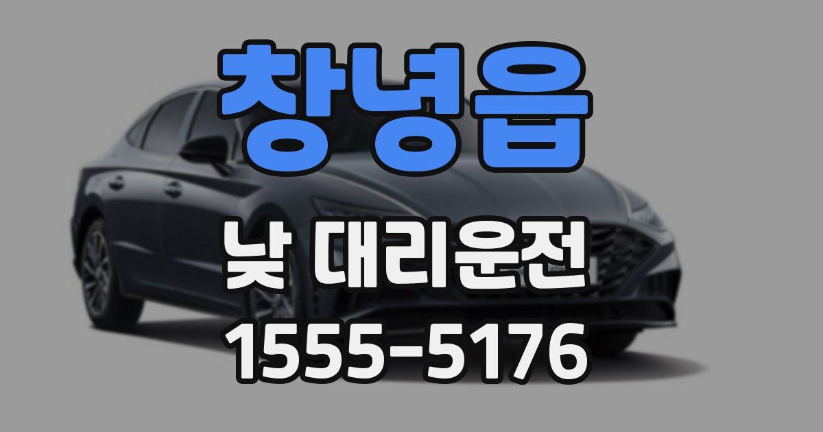 창녕읍 낮 대리운전