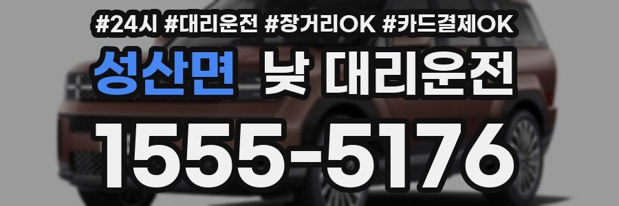 성산면 낮 대리운전