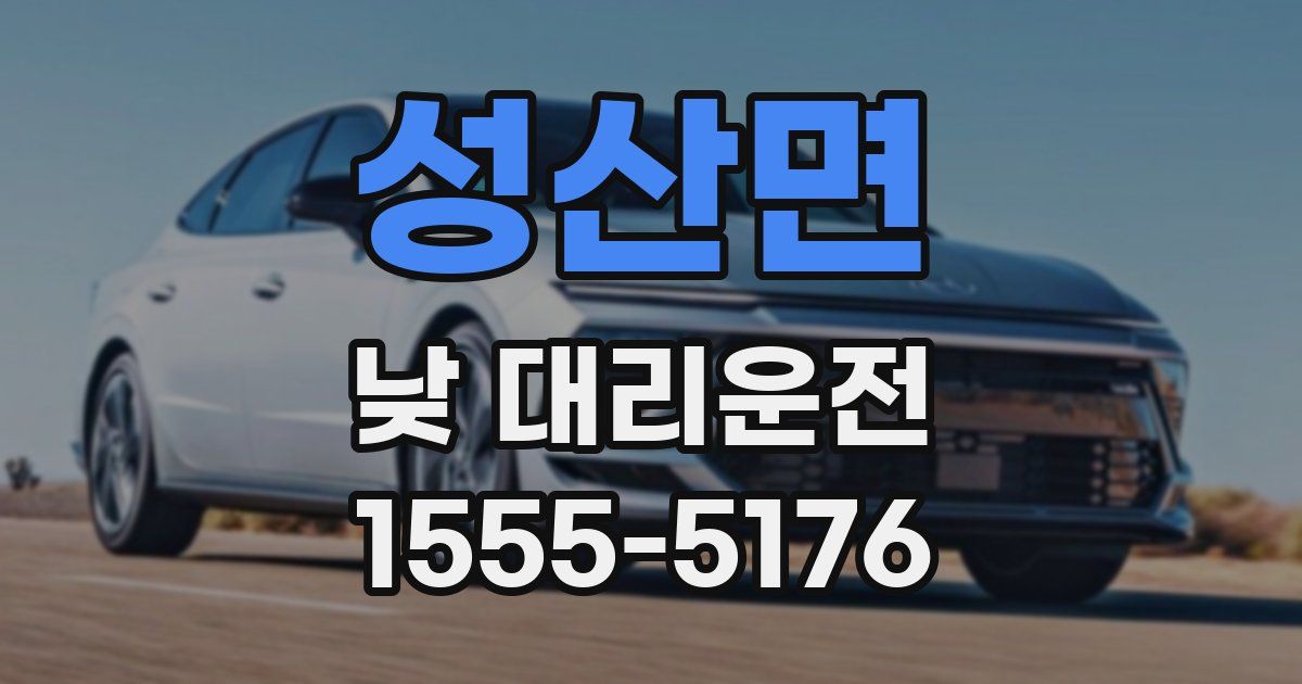 성산면 낮 대리운전