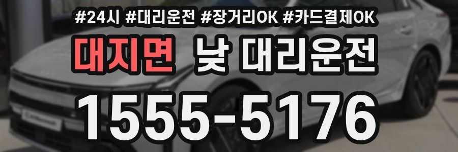 대지면 낮 대리운전