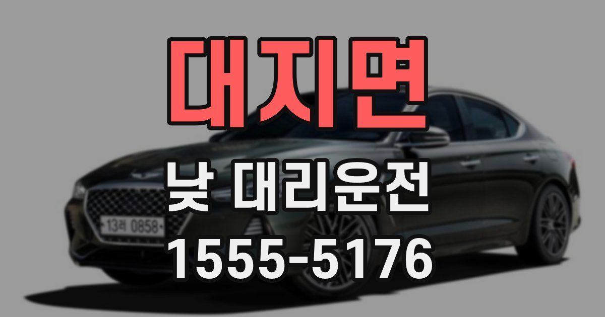 대지면 낮 대리운전
