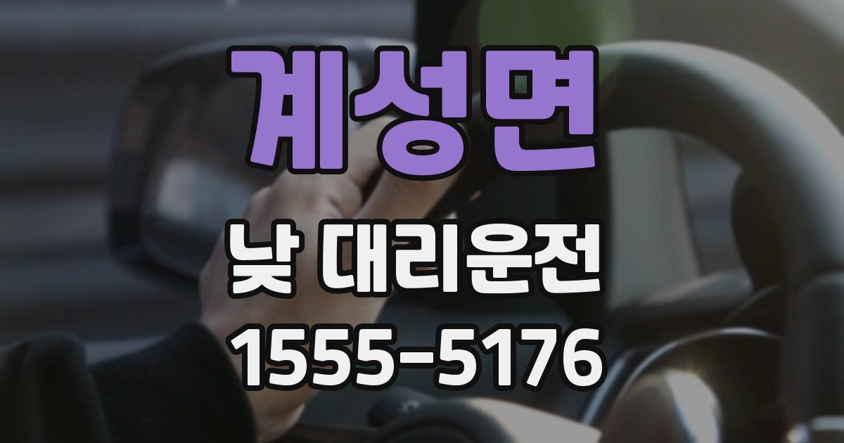 계성면 낮 대리운전