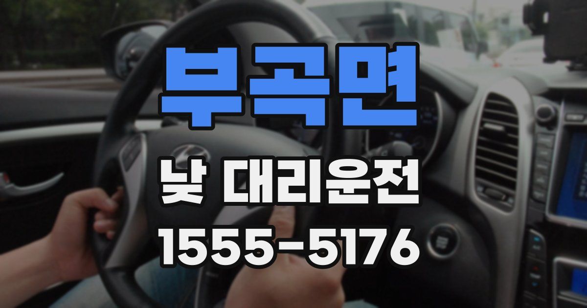 부곡면 낮 대리운전